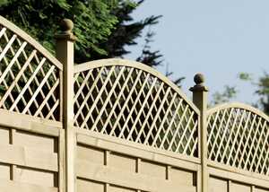 norse convex trellis