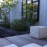 Mountain_and_Driftwood_external -MAIN.jpg