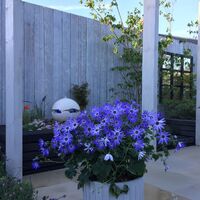 Mountain_and_driftwood_external_2 web.jpg