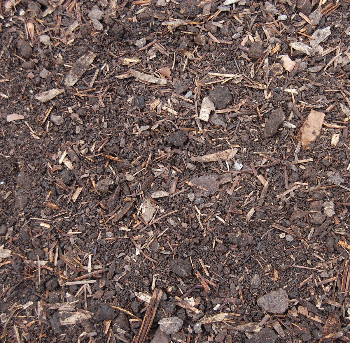 50007 - Bracken Down WEB.jpg