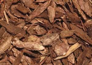 close up of bark nuggets