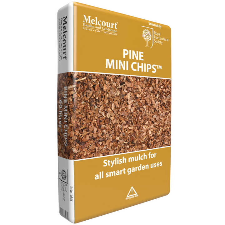 Pine Mini Chips