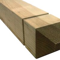 60024 Patrice Newel.jpg