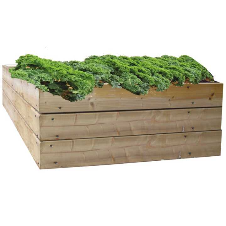 Raised Bed