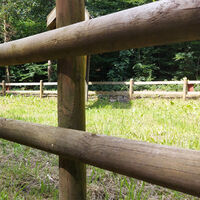 Post and rail web.jpg