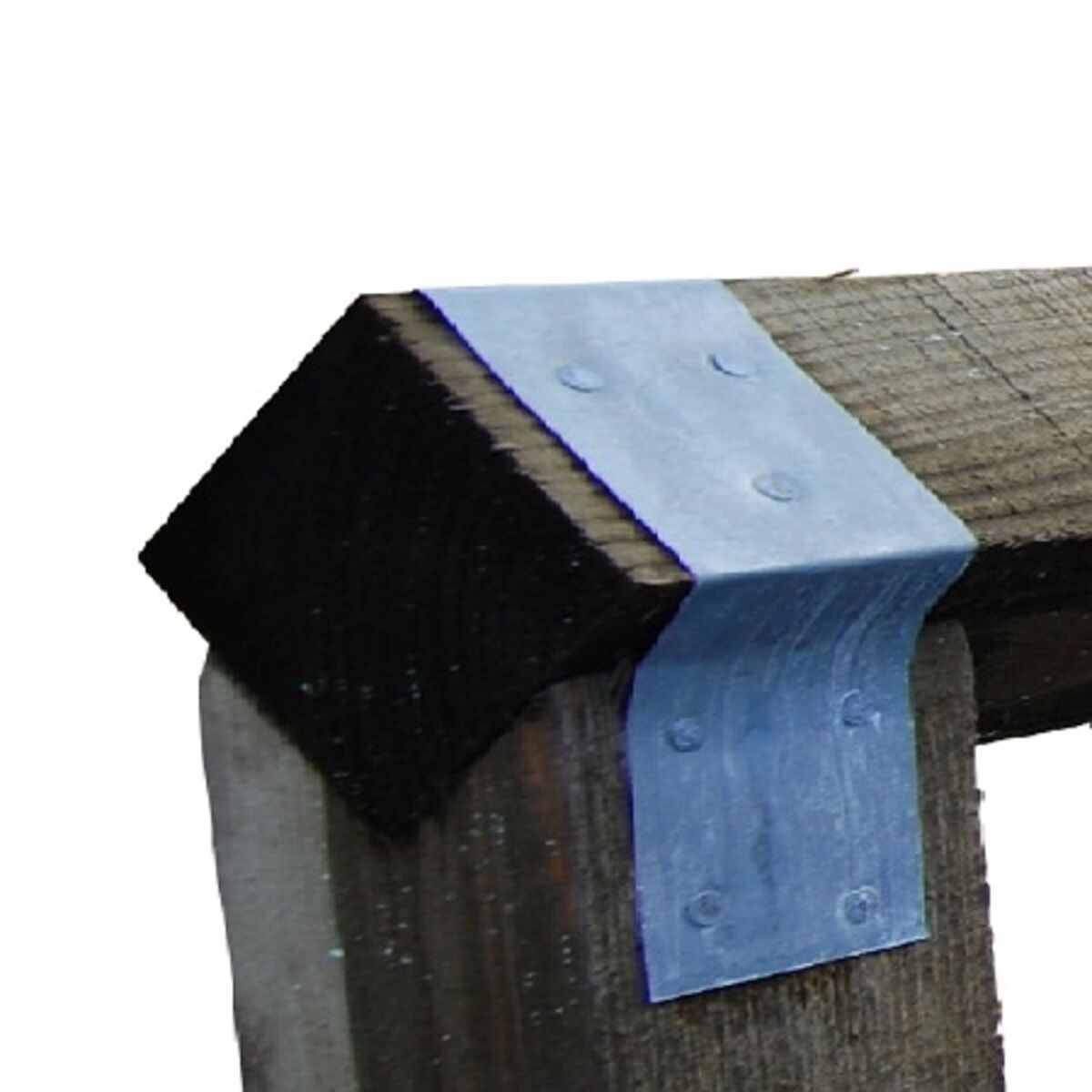 84063-web.jpg