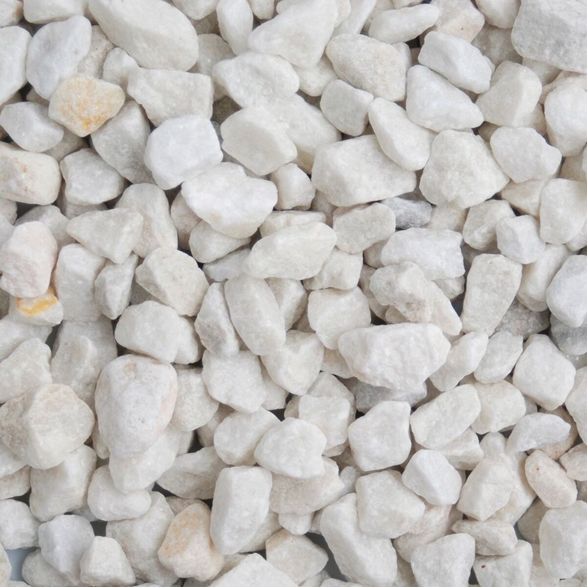 Artic White (dry).jpeg