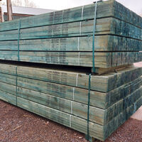 Blue Batten Web 1.jpg