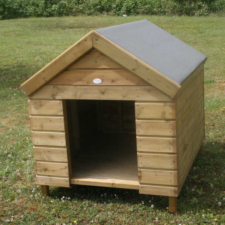 A shop dog kennel