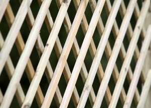 latin diamond trelling panels