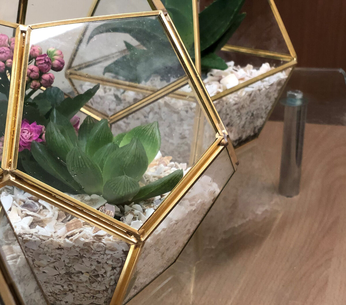 Eco Shells - Terrariums_LS WEB3.jpg