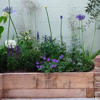 Oak Sleepers gbird.jpg