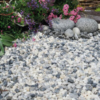 Polar Ice 20mm situ web.jpg