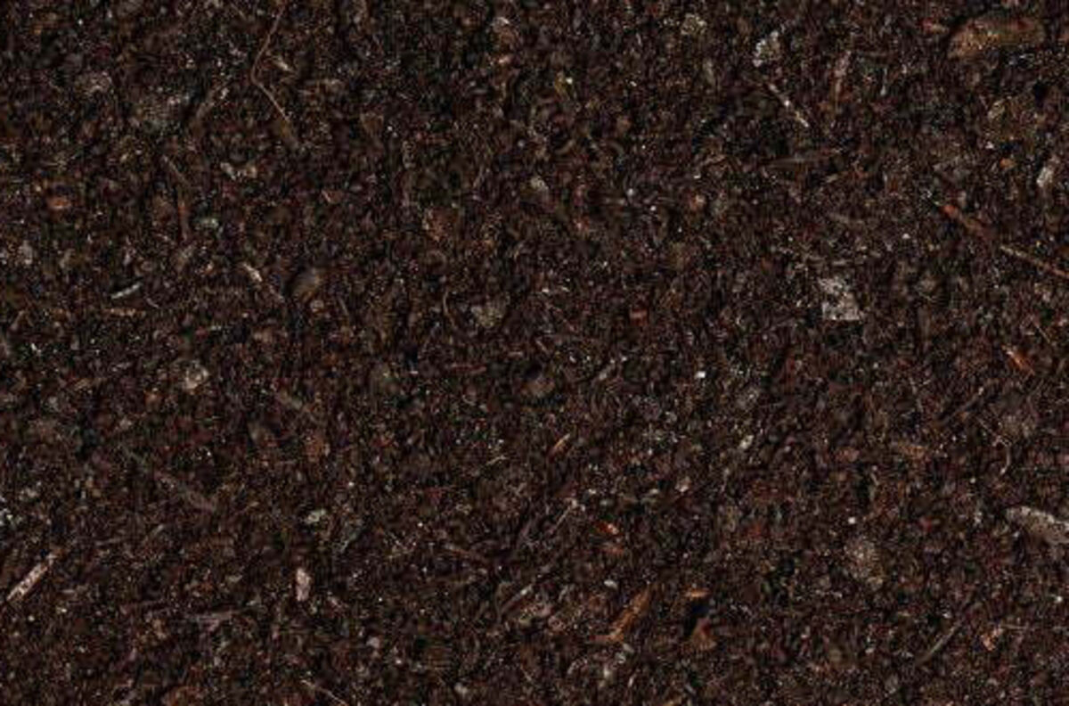 product-SylvaGrow-Planter web.jpg