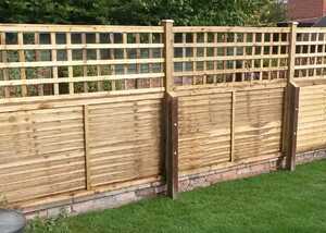 roman trellis on featheredge fencing panels