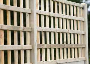 trellis fencing