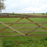 torridge-gates-diamond-braced-gate.jpg